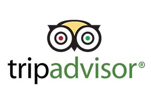 TripAdvisor Logo