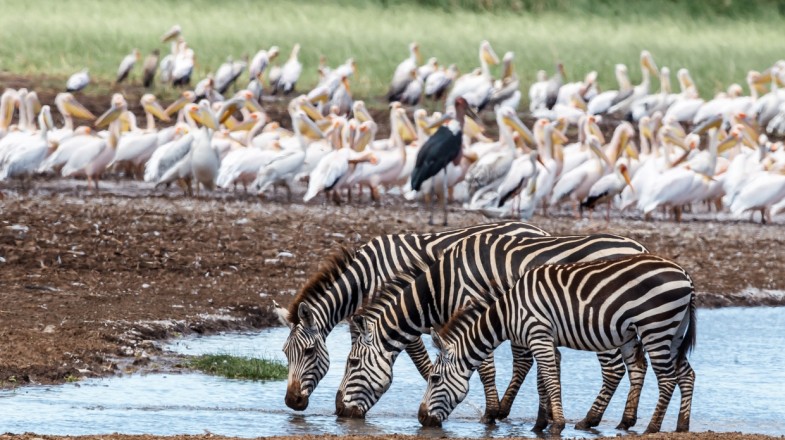 Lake Manyara National Park