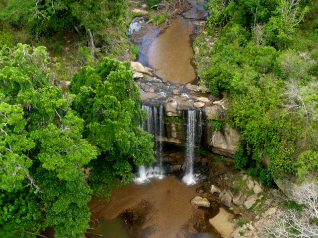 Shimba Hills National Reserve