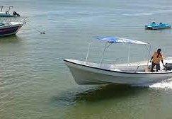 Coast Tours