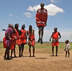 Cultural and Bushland Tours