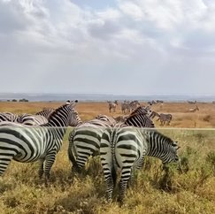 Nature & National Parks
