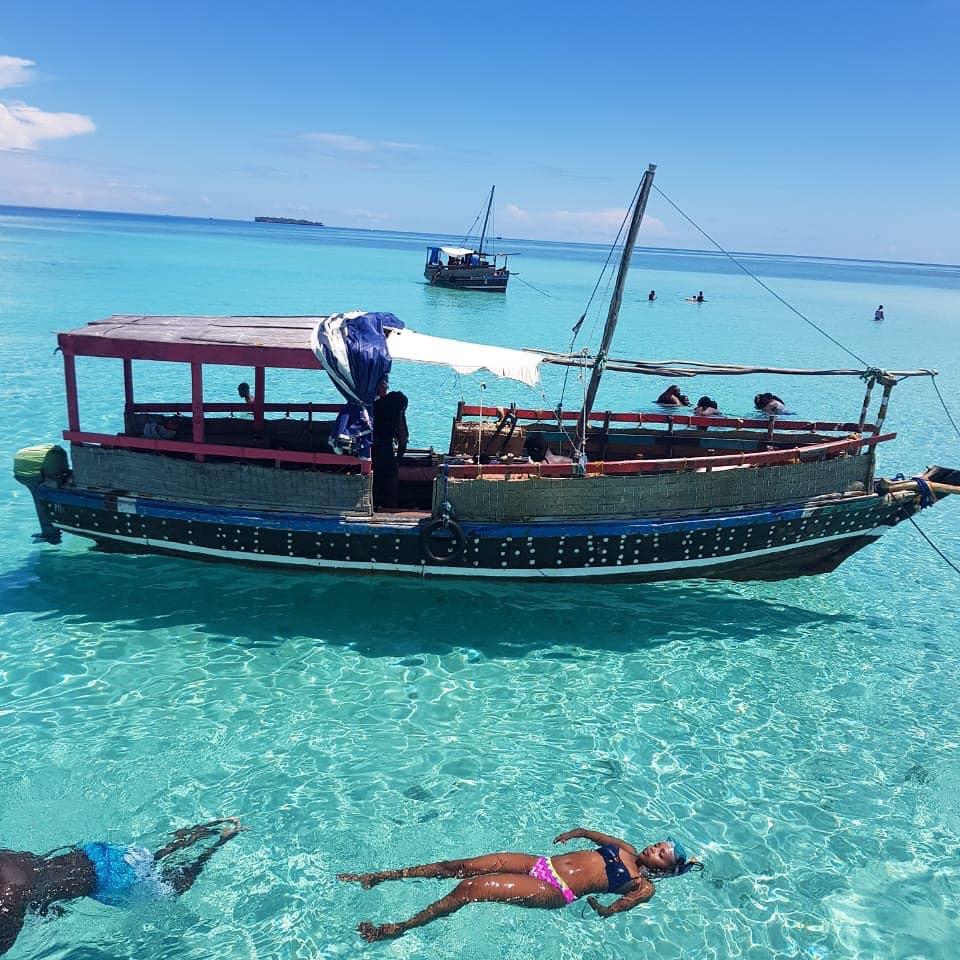 1 DAY WASINI, KISITE-MPUNGUTI ISLANDS TRIP