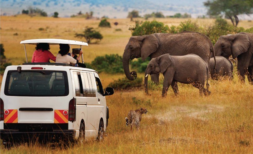 6 DAYS MASAI MARA, LAKE NAKURU, AMBOSELI NATIONAL PARK