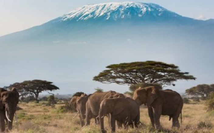 2 DAYS NAIROBI – AMBOSELI – KILIMANJARO