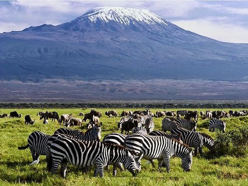 7 DAYS TSAVO EAST – AMBOSELI – LAKE NAKURU – MASAI MARA SAFARI