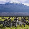 7 DAYS TSAVO EAST – AMBOSELI – LAKE NAKURU – MASAI MARA SAFARI