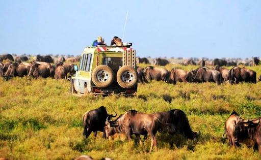 4 Day Camping Safari Tarangire – Ngorongoro and Serengeti